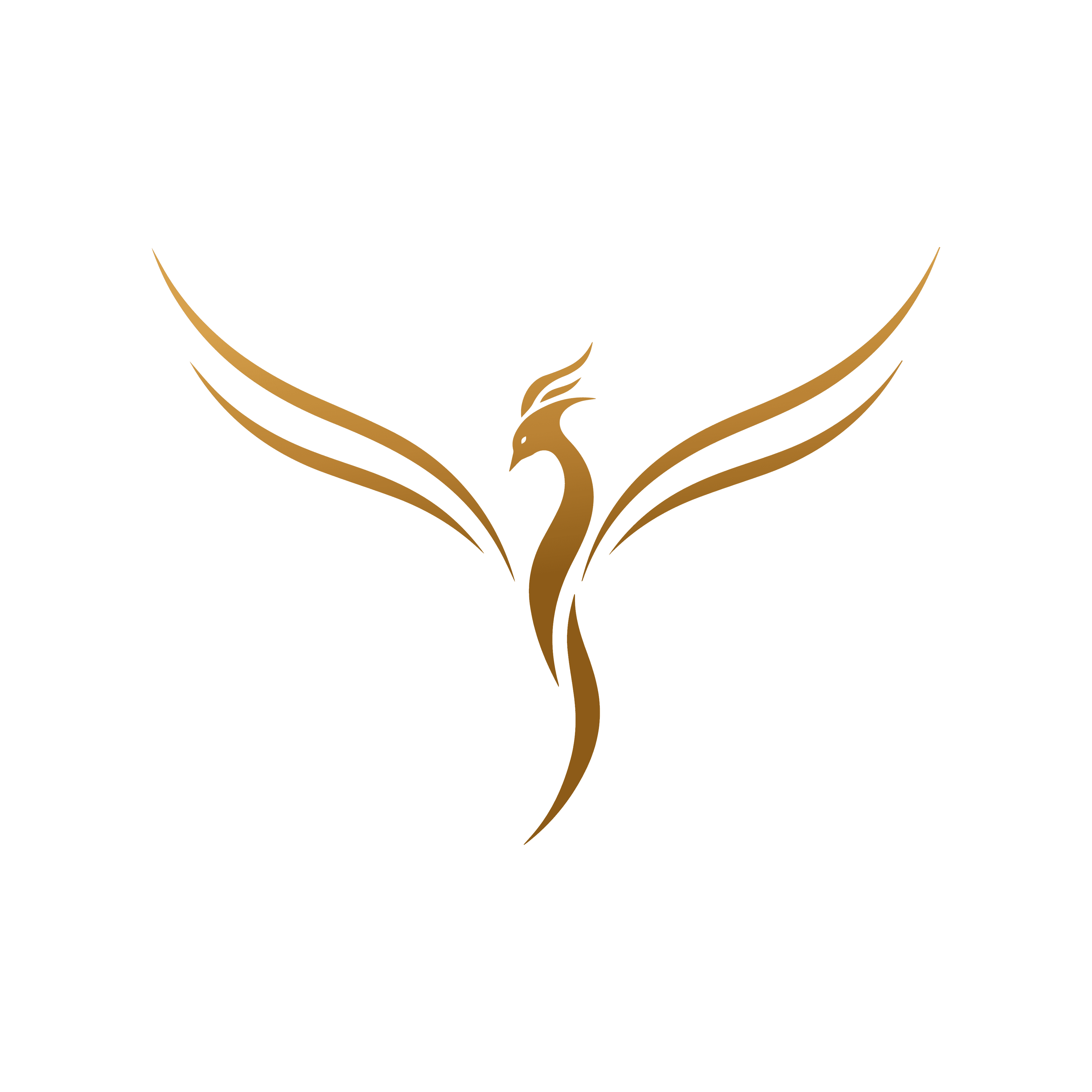 Founder Code phoenix